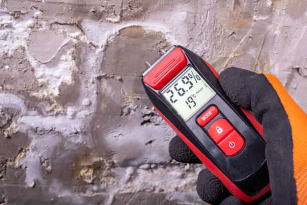 Best Office Mold Removal Services  in Murfreesboro, NC