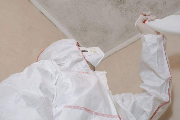 Home Mold Removal in Murfreesboro, NC