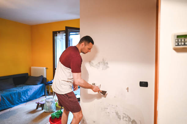 Professional Mold Removal in Murfreesboro, NC