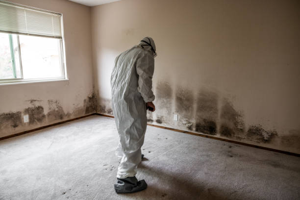 Water Damage Restoration in Murfreesboro, NC